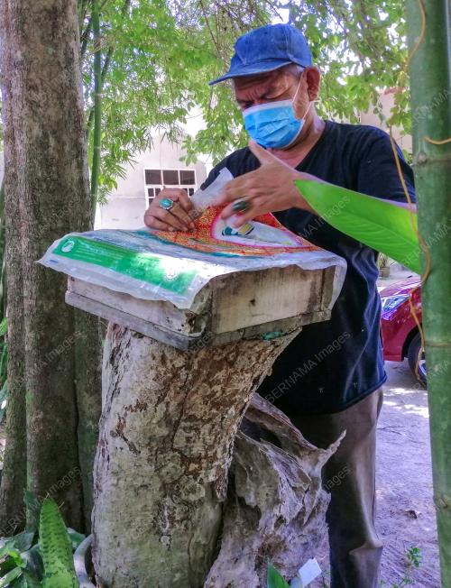 KB05_12082021_PENTERNAK_KELULUT