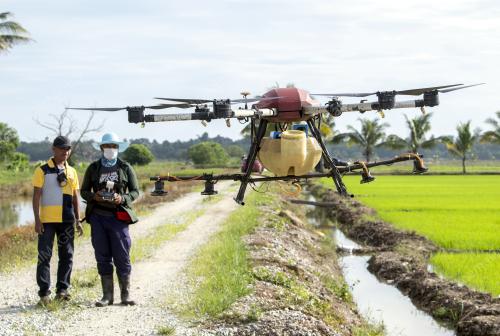 DRON SEMBURAN RACUN, BAJA PADI