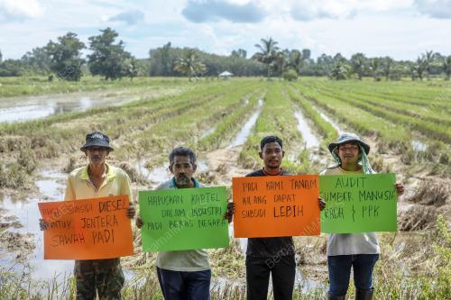 PERSATUAN PESAWAH KELANTAN (PESAK)