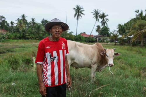 LEMBU TERNAKAN KORBAN
