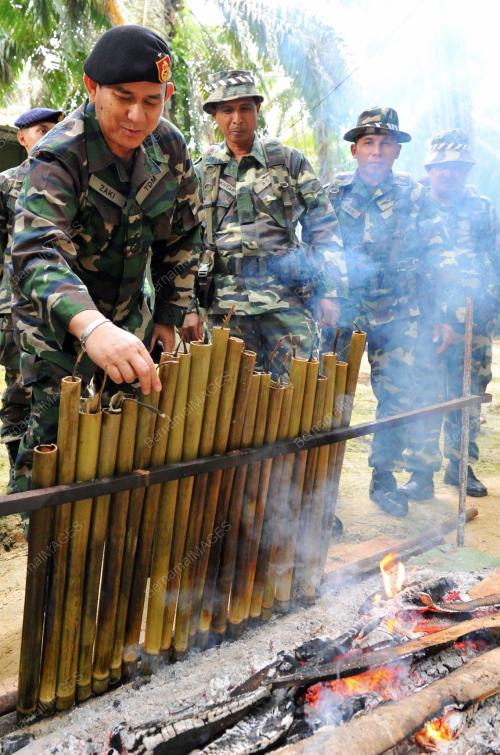 BRIG JEN DATUK MOHAMAD ZAKI HAMZAH