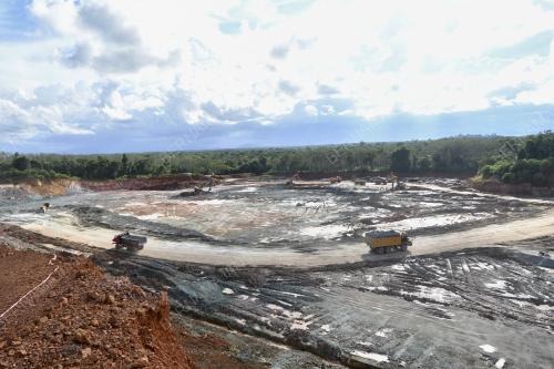 KETULAN BATU EMAS