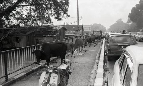 BANJIR