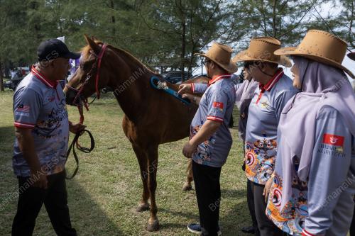 DATUK TUAN MOHD SARIPUDIN TUAN ISMAIL