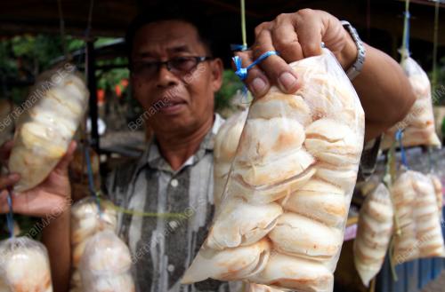 KB05_23062015_BUAH_TAL