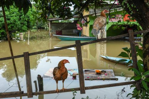 TINJAUAN BANJIR DI KG TERSANG