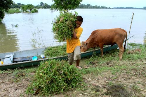 KB05_24012017_BANJIR