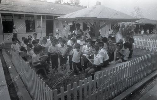 SEKOLAH KEBANGSAAN KUBANG CHENOK TOK UBAN