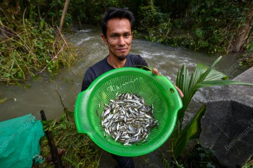 TINJAUAN PASCA BANJIR