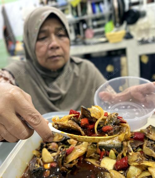 TENGKU HAYATI AKMAL TENGKU HITAM