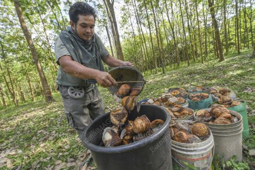PAKEJ RANGSANGAN EKONOMI PRIHATIN RAKYAT