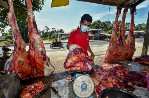 DAGING LEMBU