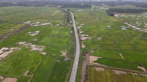 SAWAH PADI KAMPUNG KETING