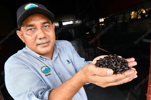 KOPI CHOP BUKIT