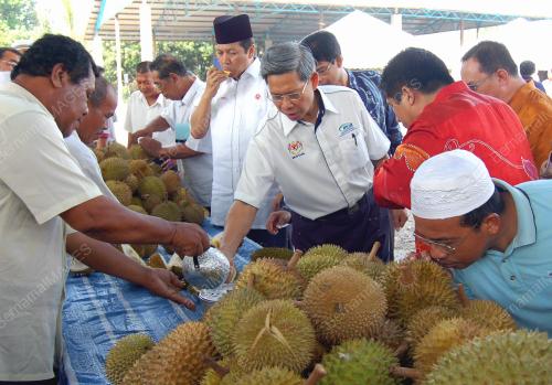 MUSTAPA MOHAMED