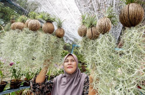 NURSERI BUNGA SEMASA PKP
