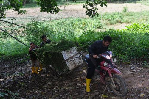 TINJAUAN CUACA SEMASA