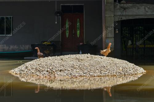 TINJAUAN BANJIR DI RANTAU PANJANG