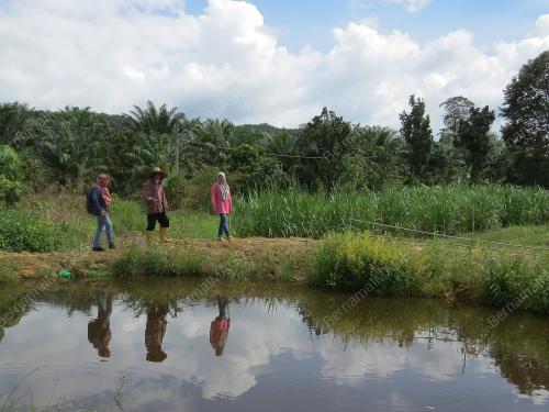 PENDUDUK KAMPUNG SUNGAI BAYU