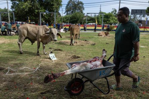 MAJLIS IBADAT KORBAN HARI RAYA AIDILADHA