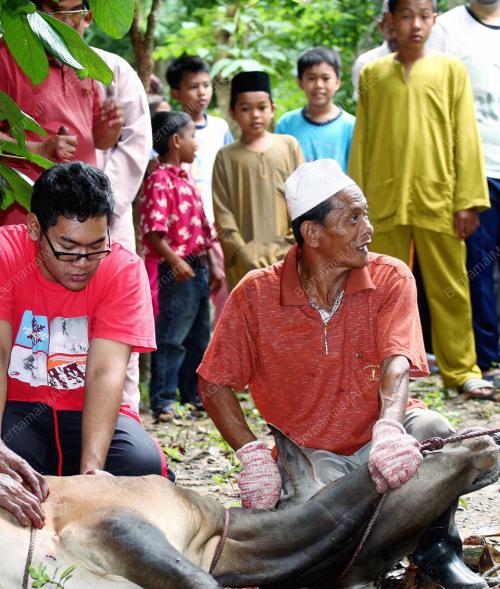 HARI RAYA KORBAN