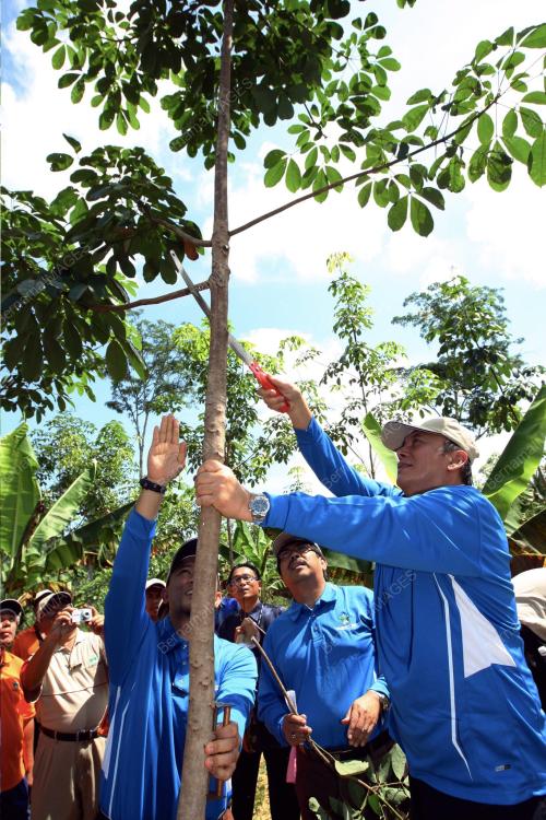 RAHIM THAMBY CHIK