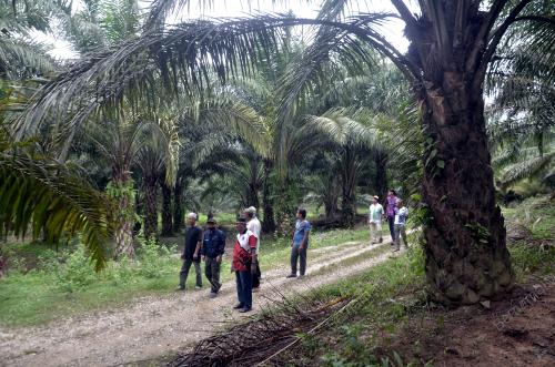 PENEROKA TINJAU PINTU MASUK LADANG