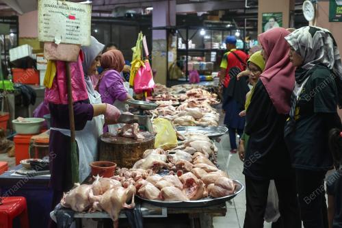 TINJAUAN PERSIAPAN HARI RAYA AIDILADHA