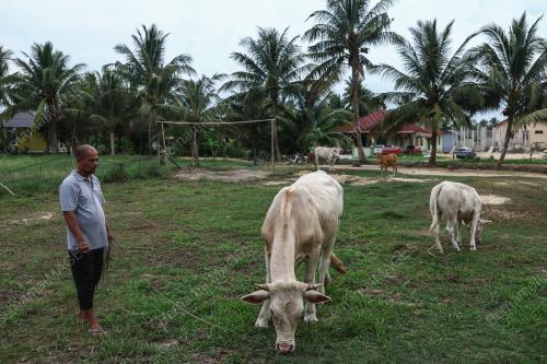 LEMBU TERNAKAN KORBAN