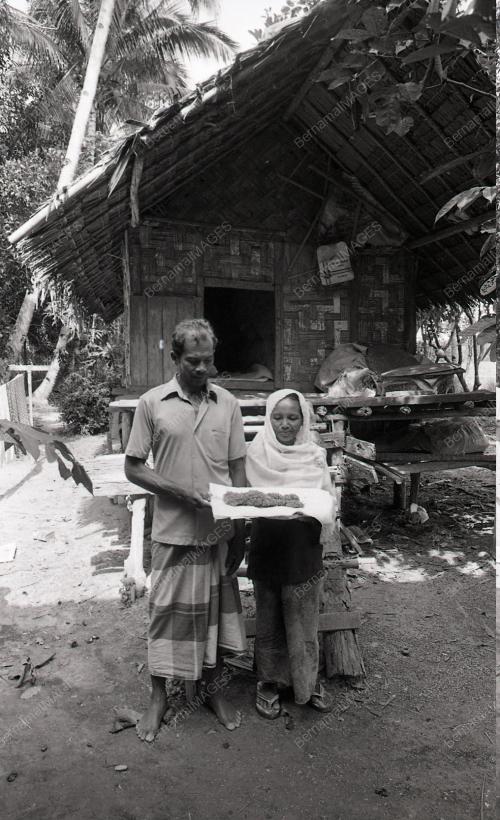 SEMANGAT PADI