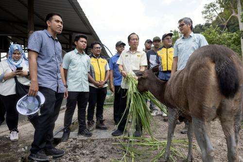 DATUK SERI AHMAD MASLAN