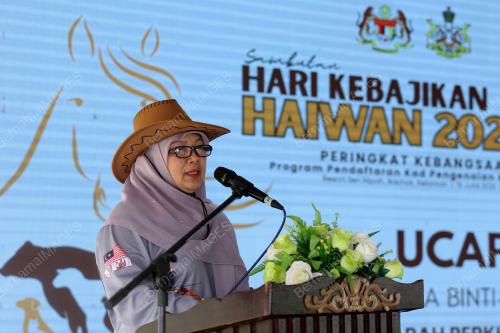 DR AKMA NGAH HAMID