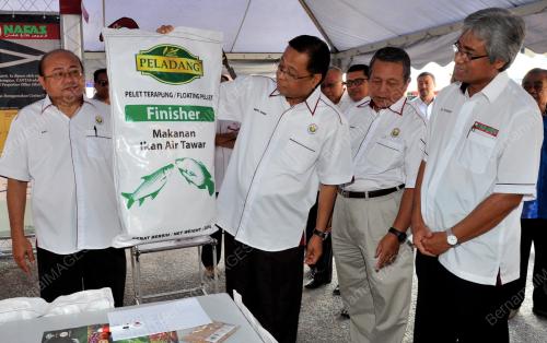 KB06_20092013_PELADANG