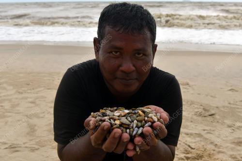 PENCARI REMIS PANTAI PACHAKAN