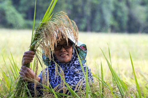 KB06_21052019_PADI_BN201905210202