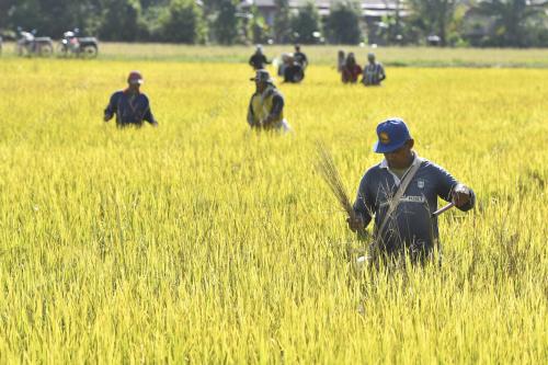 TINJAUAN AKTIVITI PEKERJA SAWAH PADI