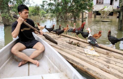 KB06_23012017_BANJIR