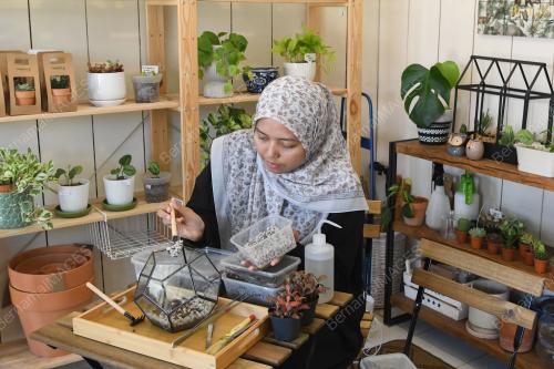 TERRARIUM HIASAN