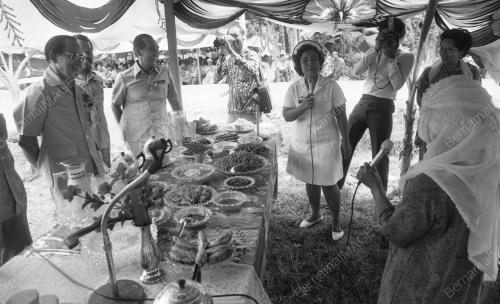 KB06_28012015_PERMAKANAN
