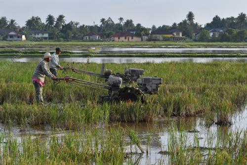 PESAWAH