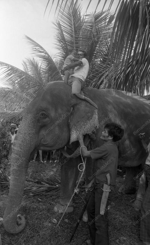 KB07_01072015_TARIK_GAJAH