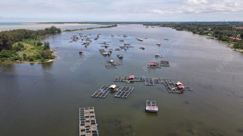 KB07_01102021_PENTERNAKAN_IKAN
