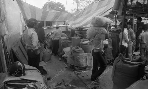 KB07_02032015_BERAS_SIAM