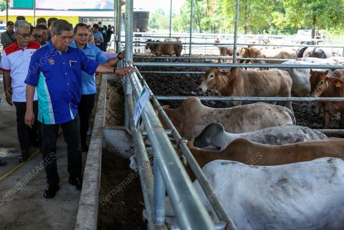 DATUK SERI MOHAMAD SABU