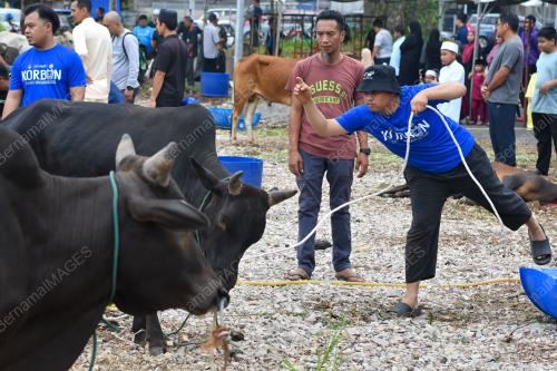 MAJLIS IBADAH KORBAN HARI RAYA AIDILADHA