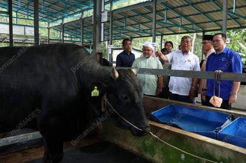 DATUK SERI MOHAMAD SABU