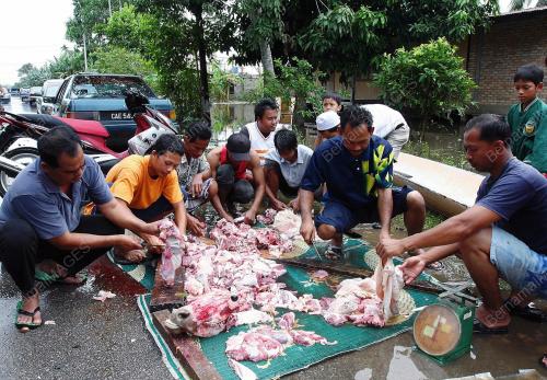 SAMBUTAN AIDILADHA