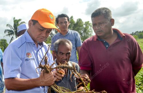 DATUK MAZLAN ALIMAN
