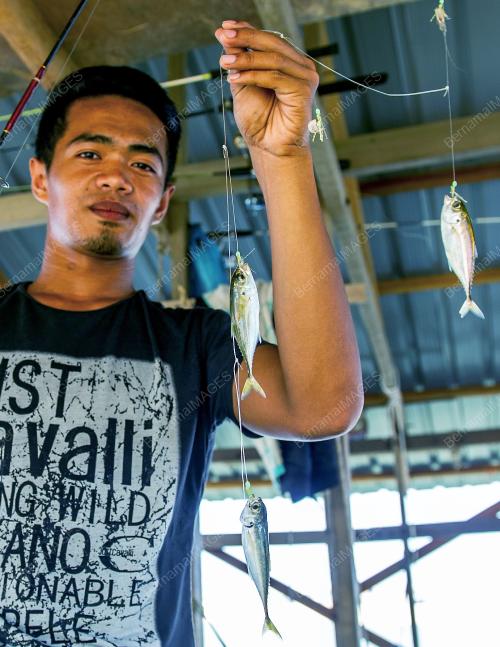 KB07_12042016_IKAN_LAUT