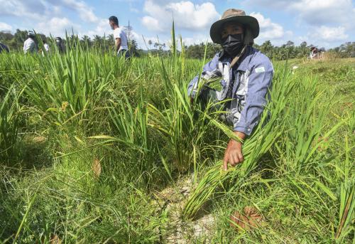 SAWAH KERING